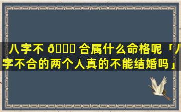 八字不 🐋 合属什么命格呢「八字不合的两个人真的不能结婚吗」